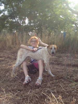 b2ap3_thumbnail_Dog-Training-2.jpg