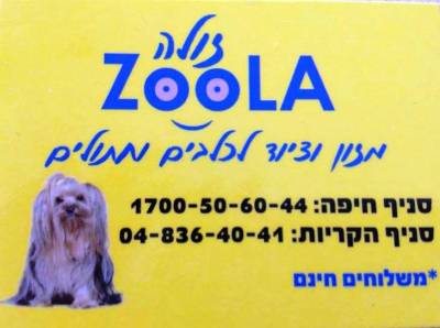 b2ap3_thumbnail_Zoola-Dog-Shop.jpg